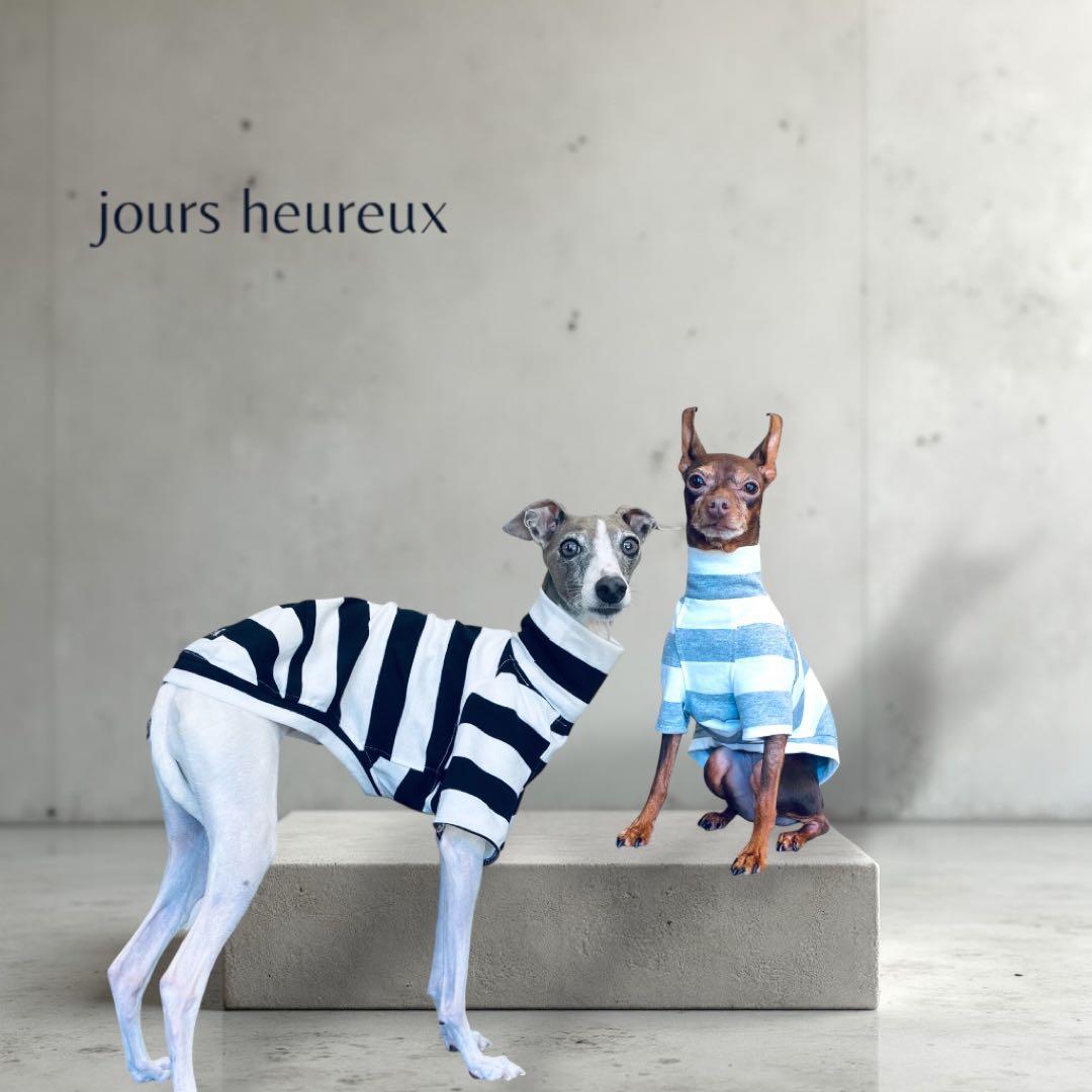 ⑱ボーダーショートスリーブ