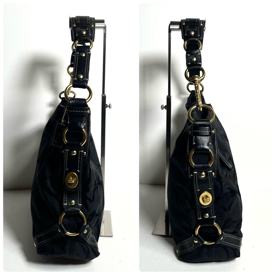 バッグ Coach Canvas Carly Hobo Shoulder Bag