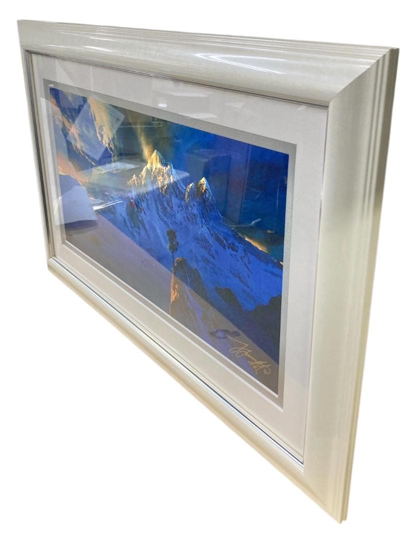 HFD2120 ★証明書付・美品★ デイル ターブッシュ 神の秘密