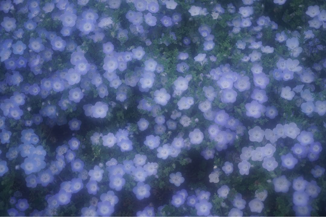 Leica Elmar 5cm F2.8（L39マウント）