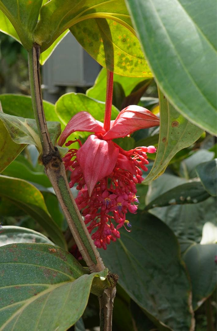 SONY レンズ T* E 24mm F1.8 ZA