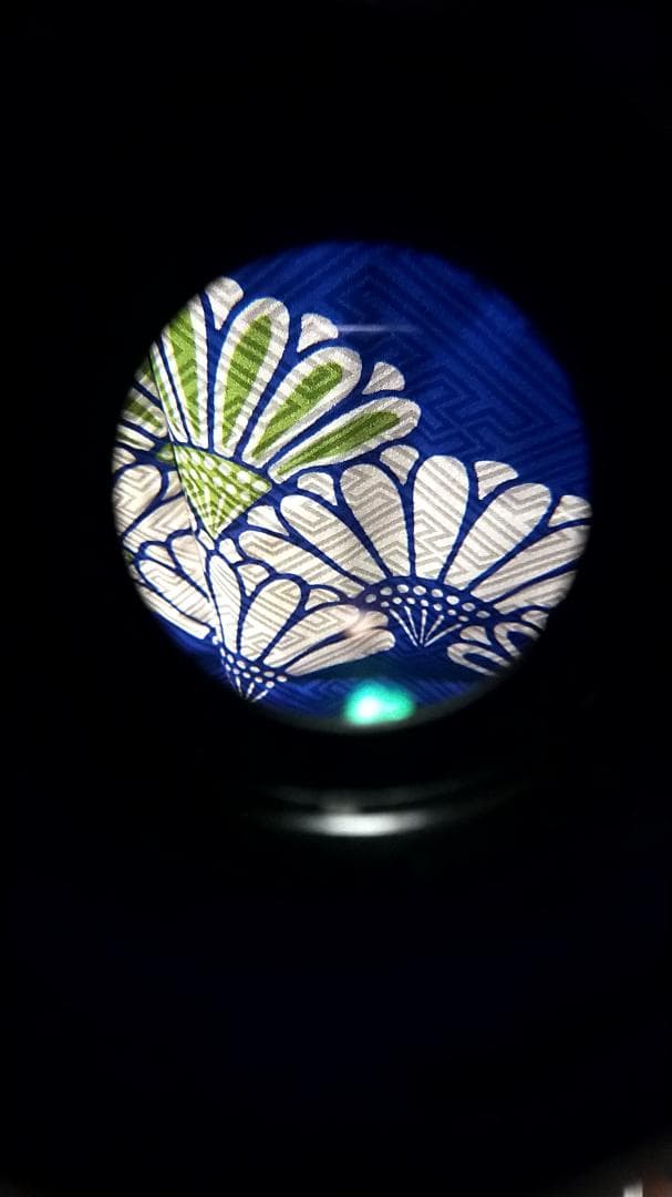 その他 CANON WIDE CONVERSION LENS WC-DC58N 0.7x