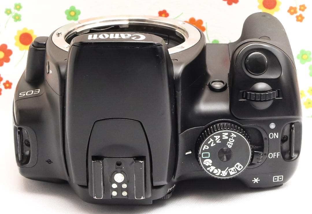 美品 キャノン Canon kiss x☆初心者おススメ☆スマホに転送☆即日発送