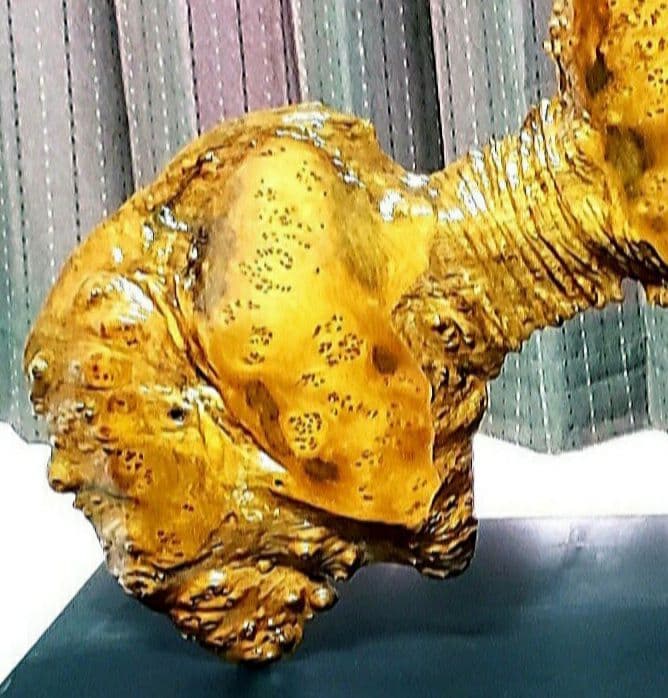 銘木(他に無い杢目模様)