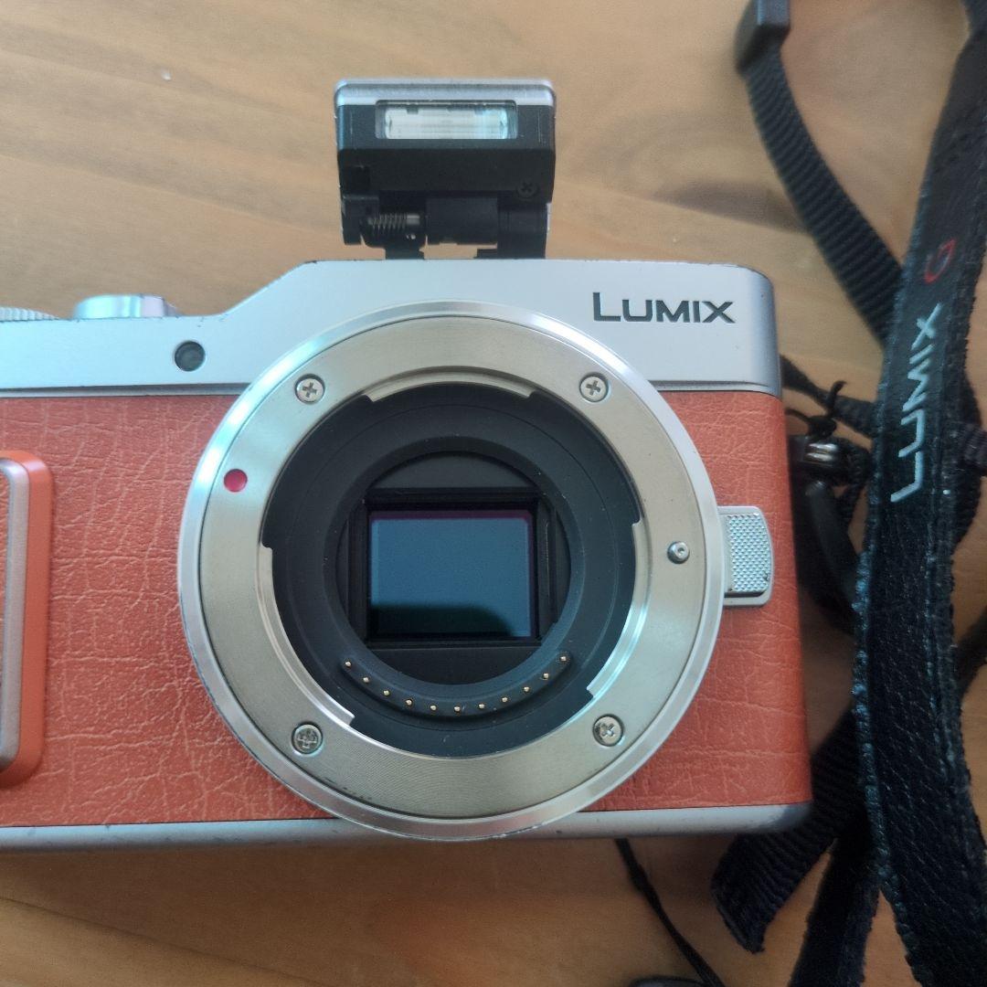 値下げ！Panasonic LUMIX DC-GF10 デジタルカメラ本体充電器