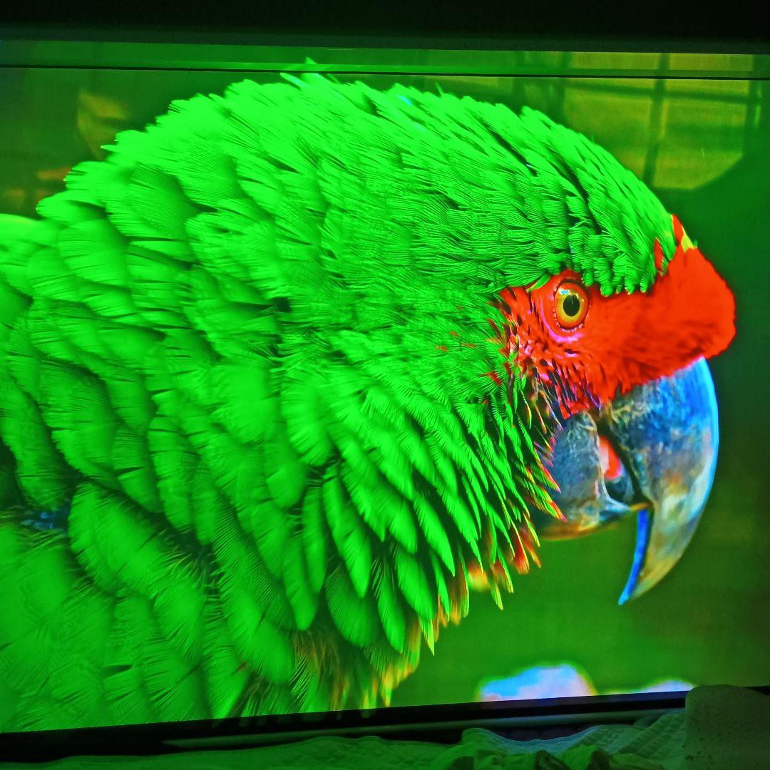 超美品　SONY プロジェクター リアル4K VW515ES　愛知より