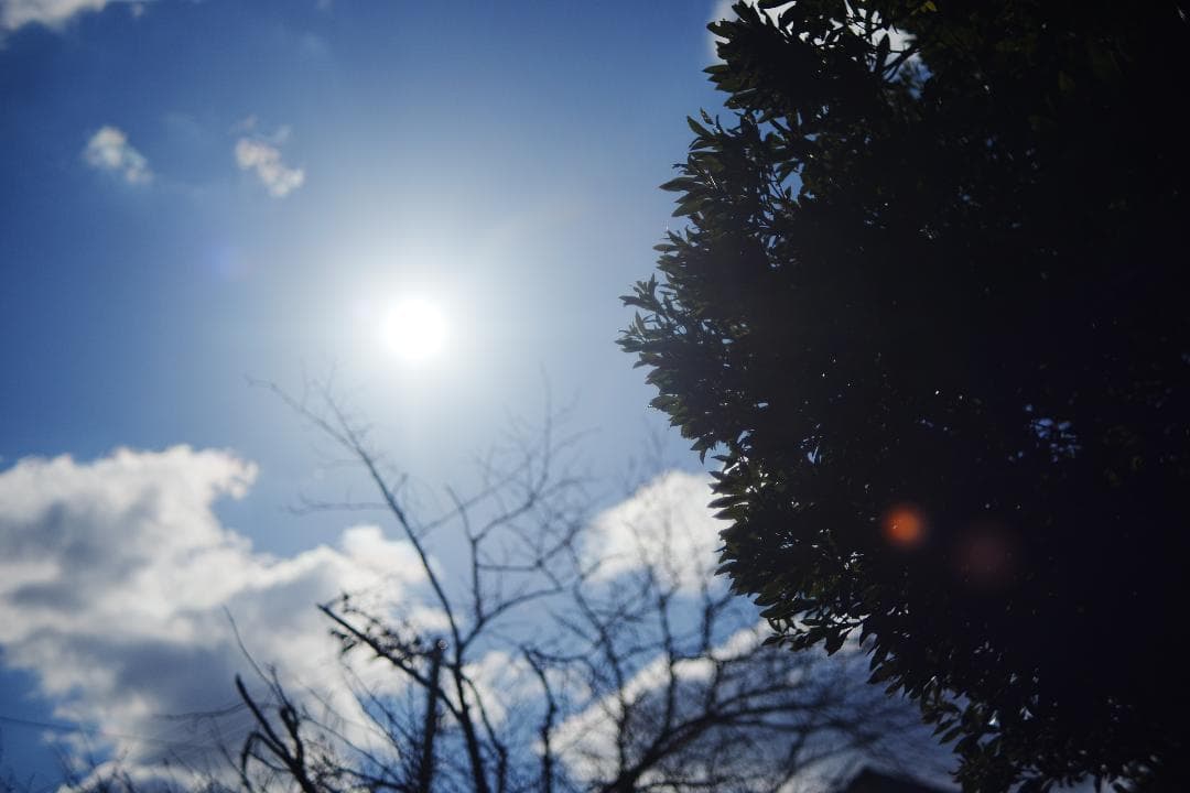 整&テスト Pentax Super Takumar 50mm F1.4 516