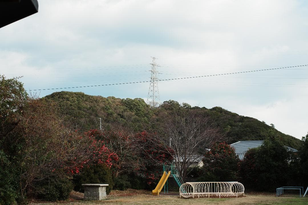 整&テスト Pentax Super Takumar 50mm F1.4 516