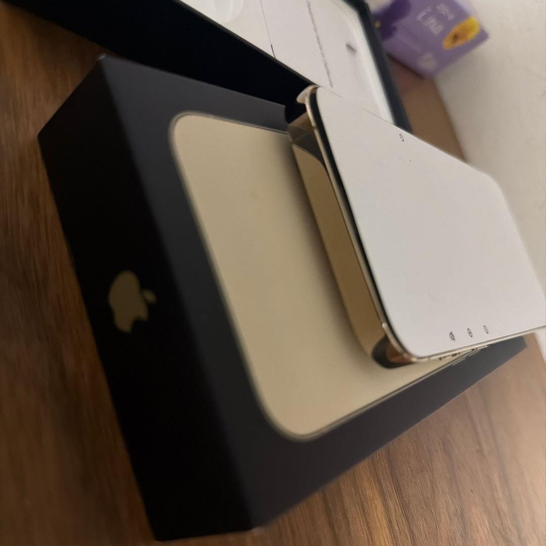 Apple iPhone 13 Pro ゴールド パンダ