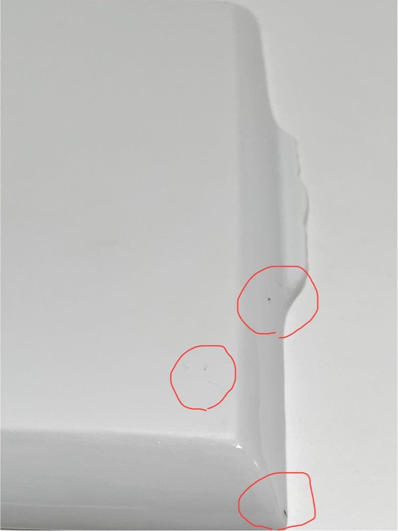 RICHARD GINORI ×ミナペルホネン　 トレイプレート　※限定品※