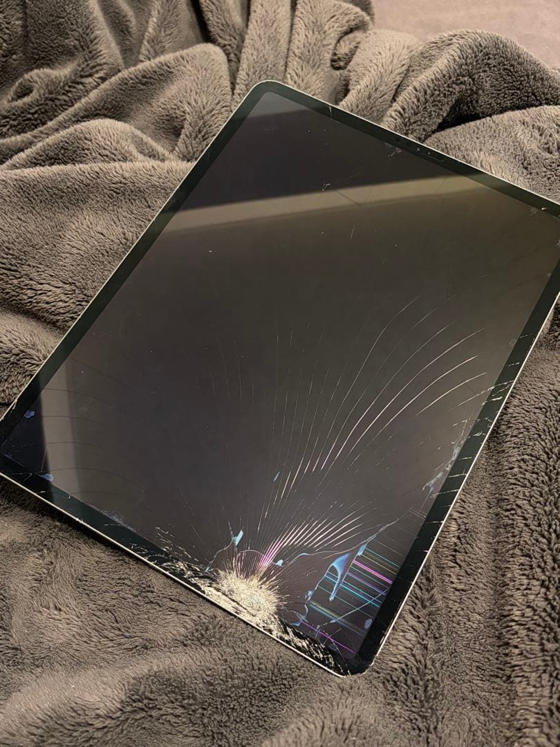 【ジャンク】iPad Pro 12.9 第3世代(2018)