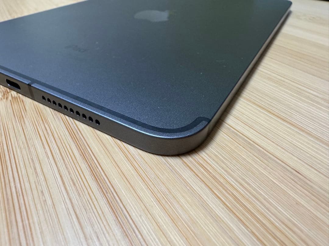 バッテリー100% iPad mini 第6世代のCellularモデル