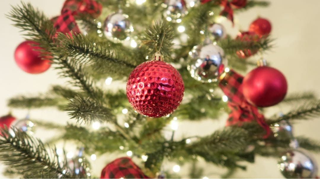 Canon Powershot G7X markⅡ