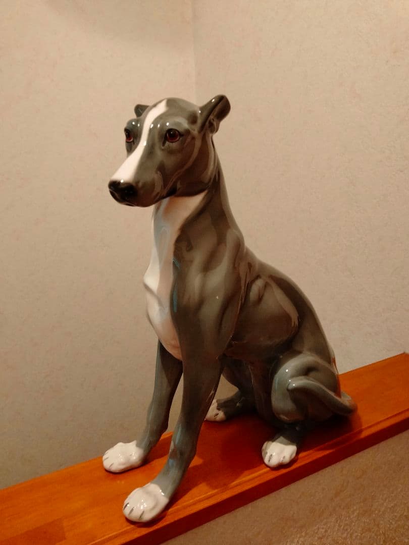 超大型 イタリア グレイハウンド リヤドロ