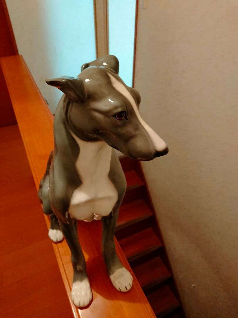 超大型 イタリア グレイハウンド リヤドロ