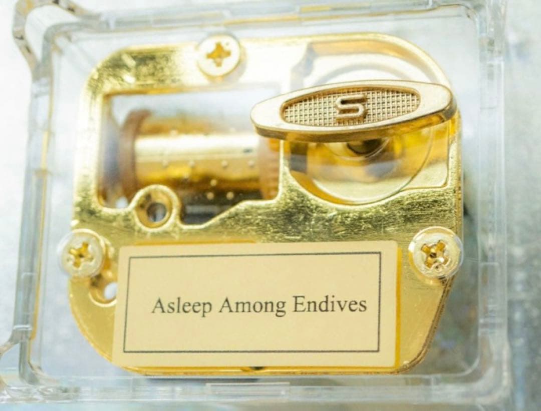 青葉市子 Ichiko Aoba アンディーヴと眠って オルゴール 新品