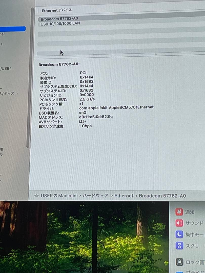 Macデスクトップ Mac mini M4 Pro 12C 16C 24GB 512GB 2024