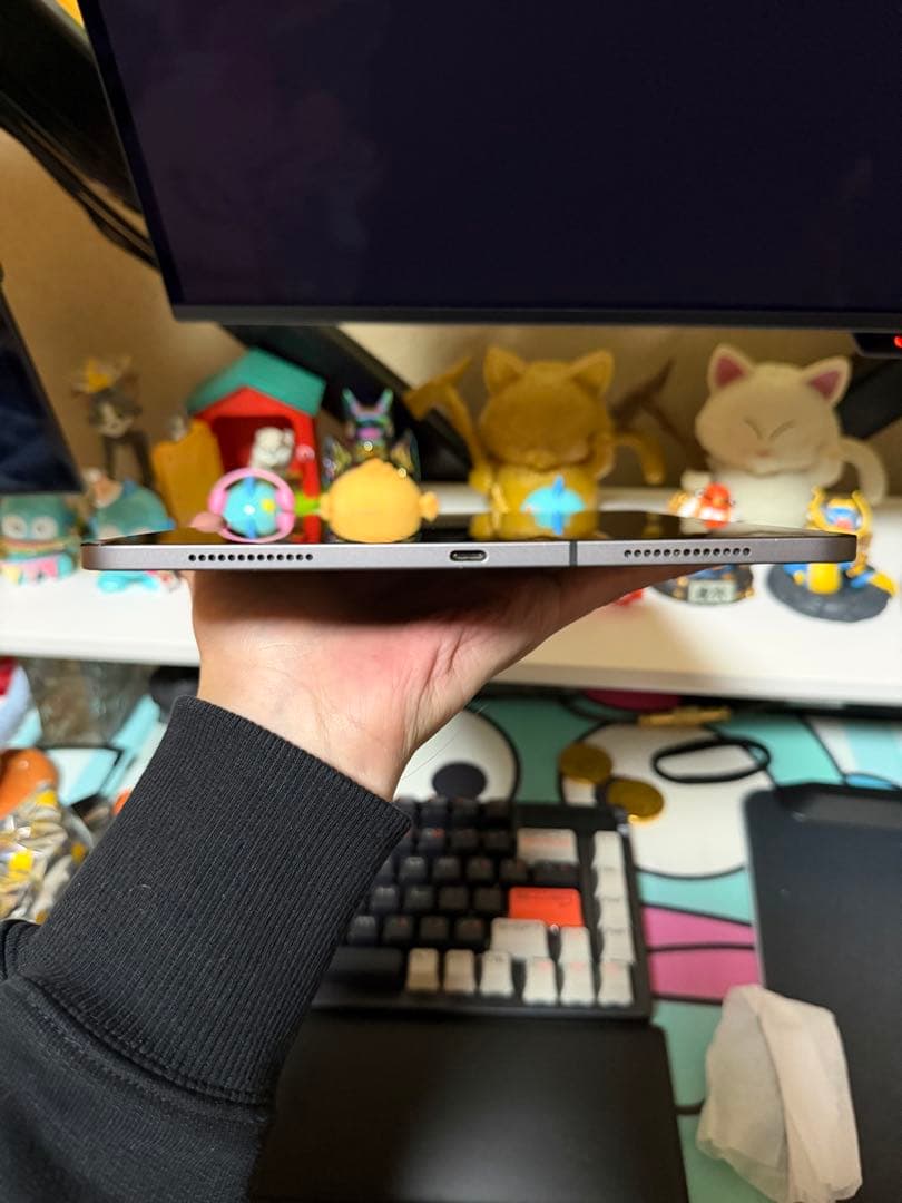 iPadpro 11インチ 第2世代 256G Wi-Fi+Cellular