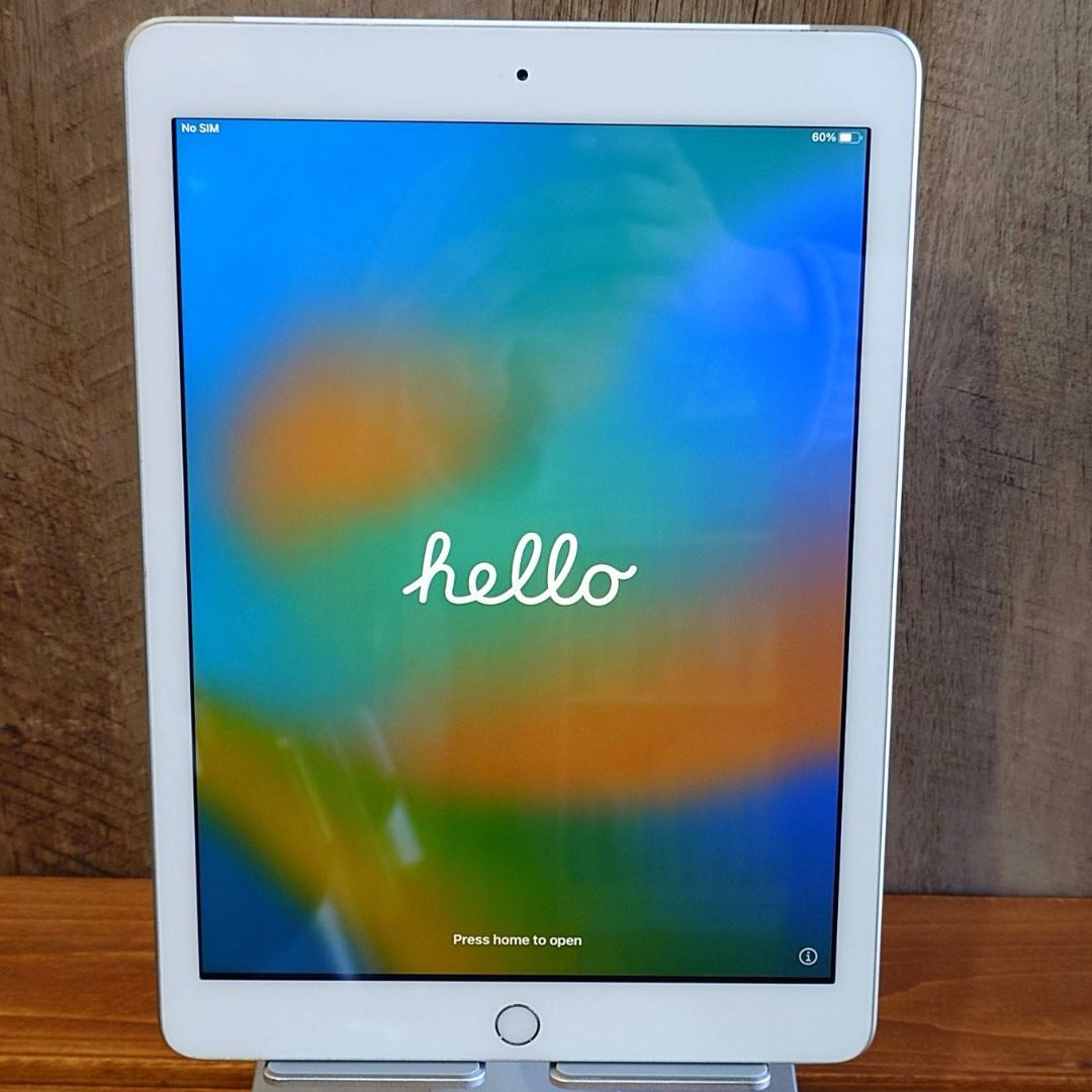 iPad 第5世代 32GB A1823 Wi-Fi+Cellular 本体
