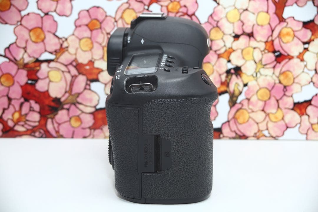 ❤堅牢の5D系列❤キヤノン EOS 5D mark IV❤