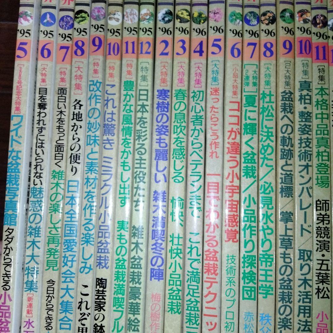 盆栽世界 1995-1997年 31冊　盆栽　BONSAI　平成　園芸　希少本