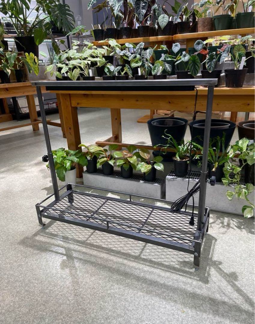 1台限定　黒塗装済み完成品　アイアン　ミニ植物棚　ダクトレール50cm付き！