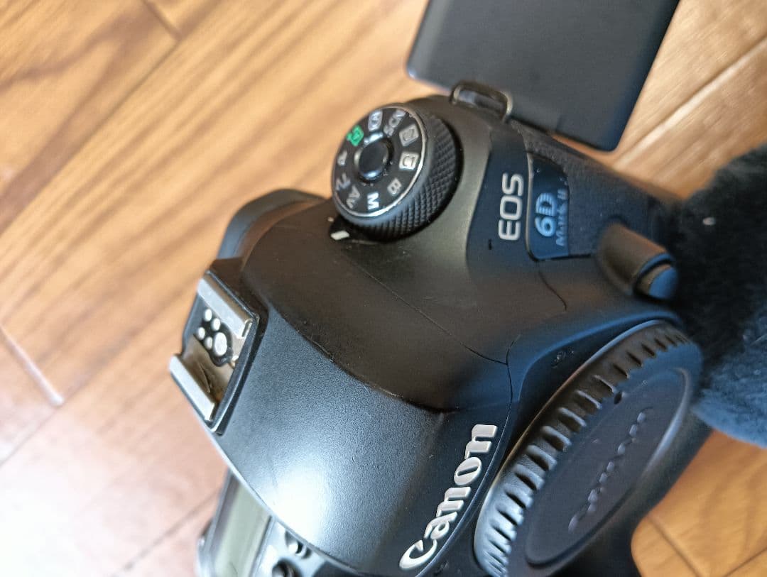 装備多数！！☆Canon EOS 6D Mark2☆SDカードスロットのみ訳あり