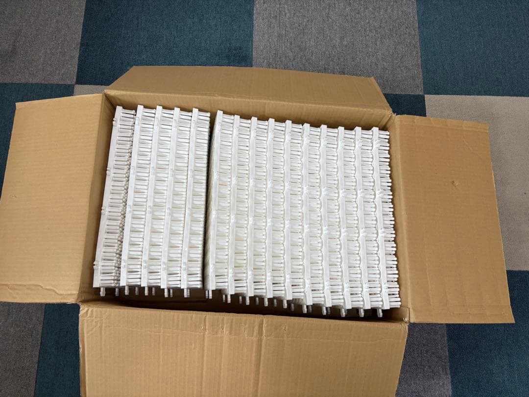 シバカツ　エキスパートセット　15枚