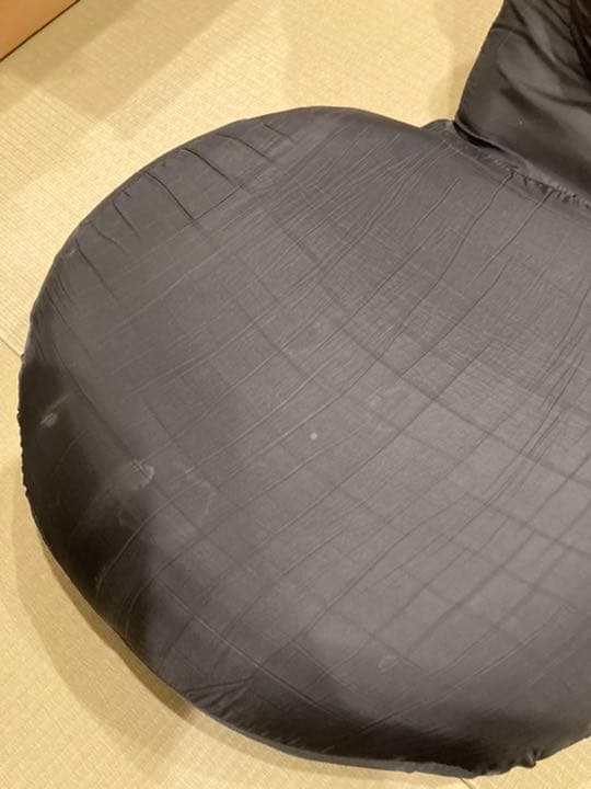 む*芸様 2個セット 背筋がGUUUN 美姿勢座椅子 リッチ RICH