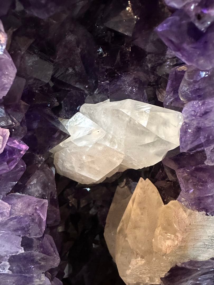 特価　アメジストドーム（カペラ）126