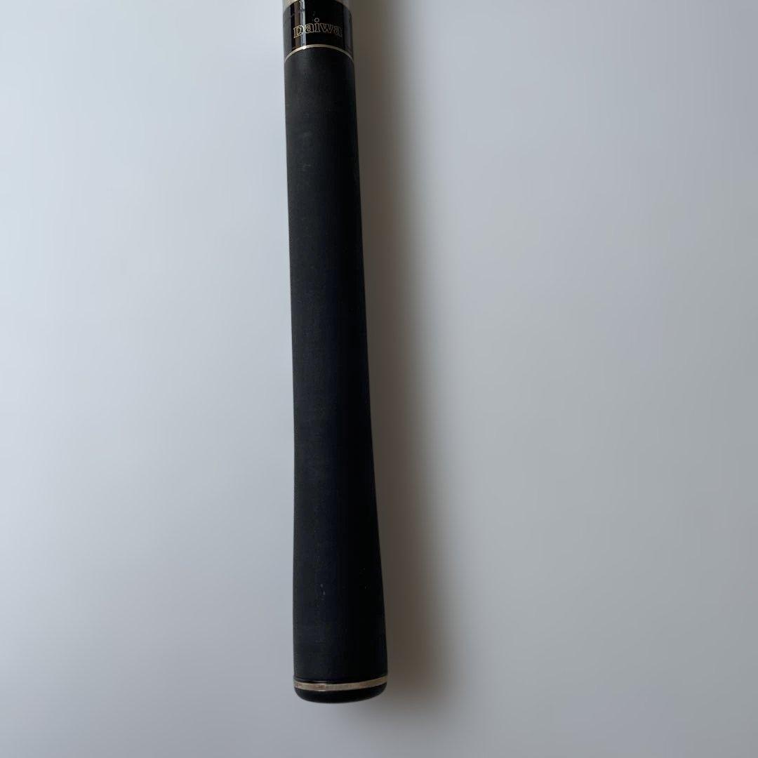 ダイワ銀影競技T•1スペシャル中硬硬100