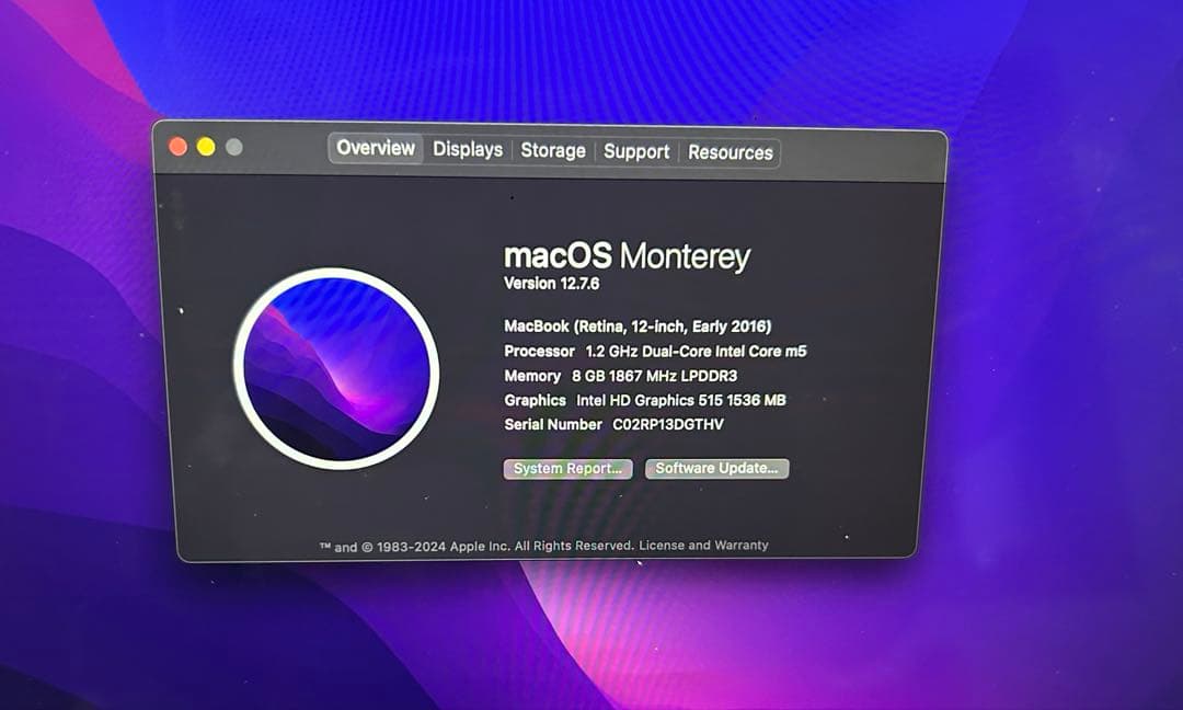 MacBook本体 MacBook(Retina,12-inch, Early 2016)