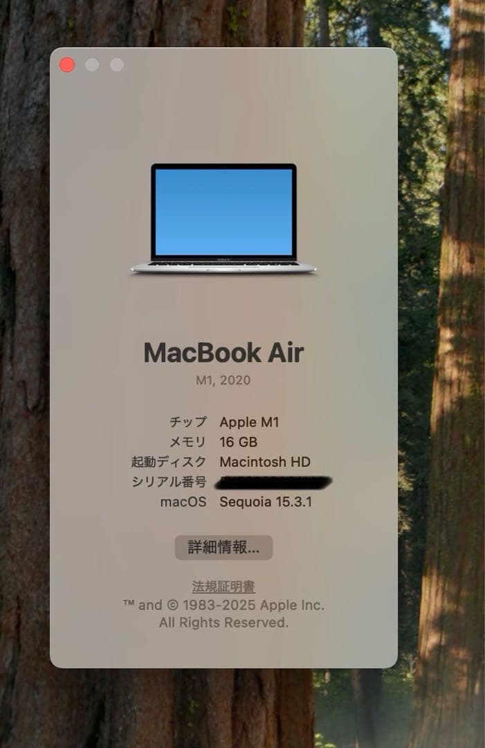 【週末特価】M1 MacBook Air 16GB/512GB シルバー