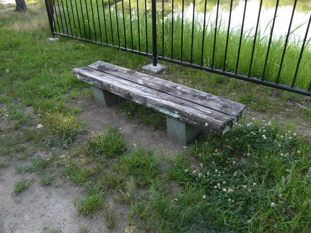 ✨ショット数1632回で美品✨GR DIGITAL III　546