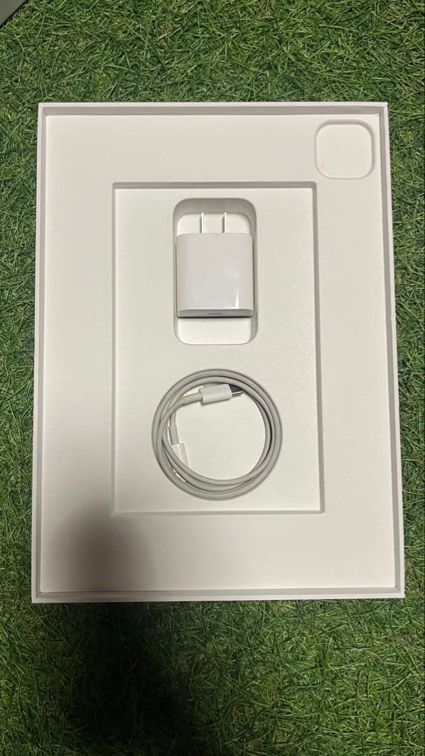 iPad Pro 第4世代　11インチ 1TB M2 チップ