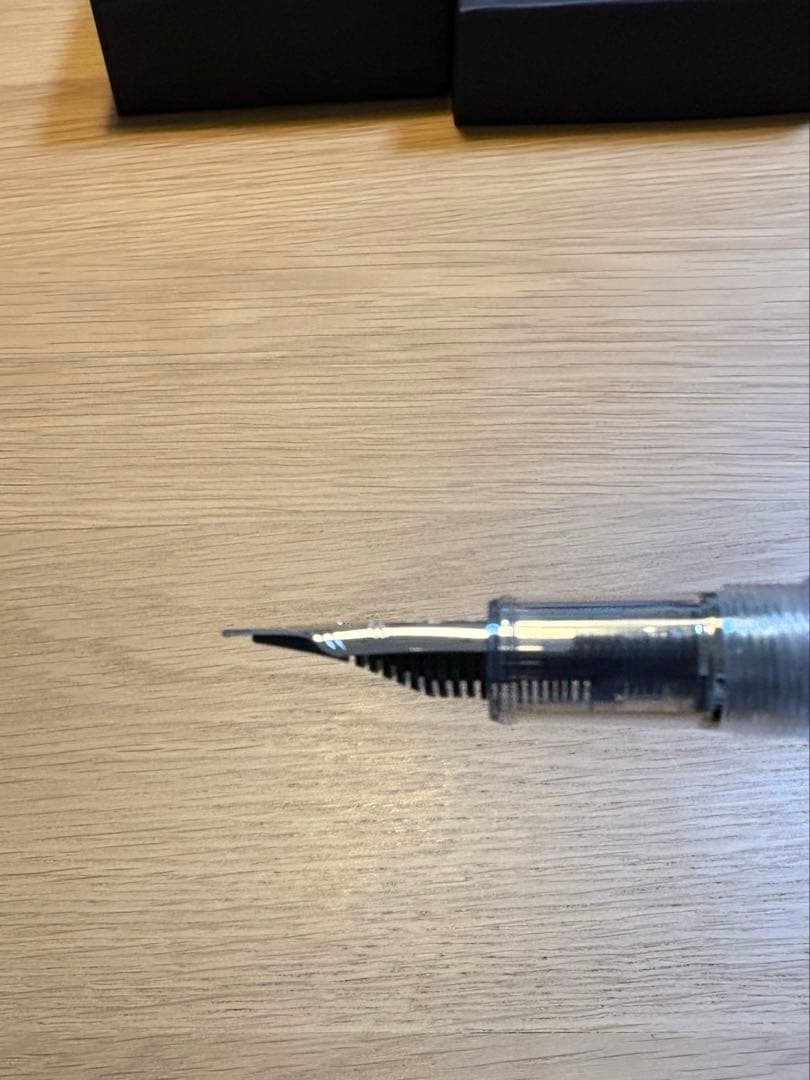 限定品　プラチナ万年筆　センチュリー　鱗雲　中字