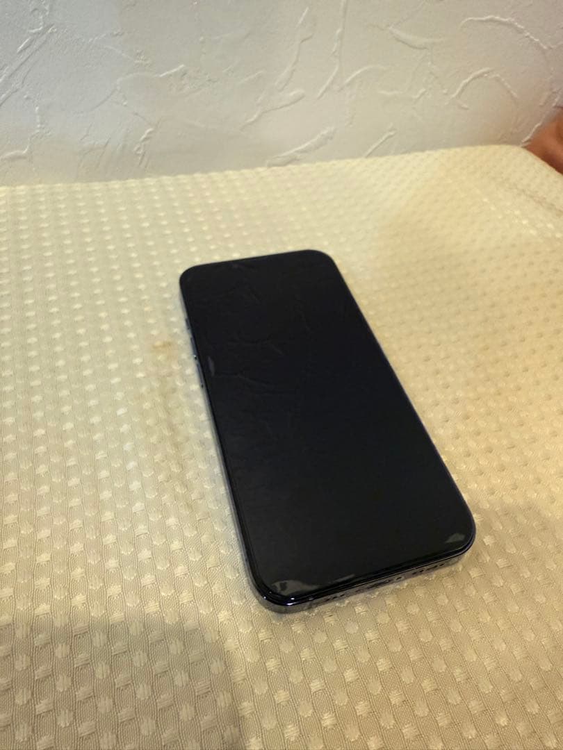 ヨッシーさん専用