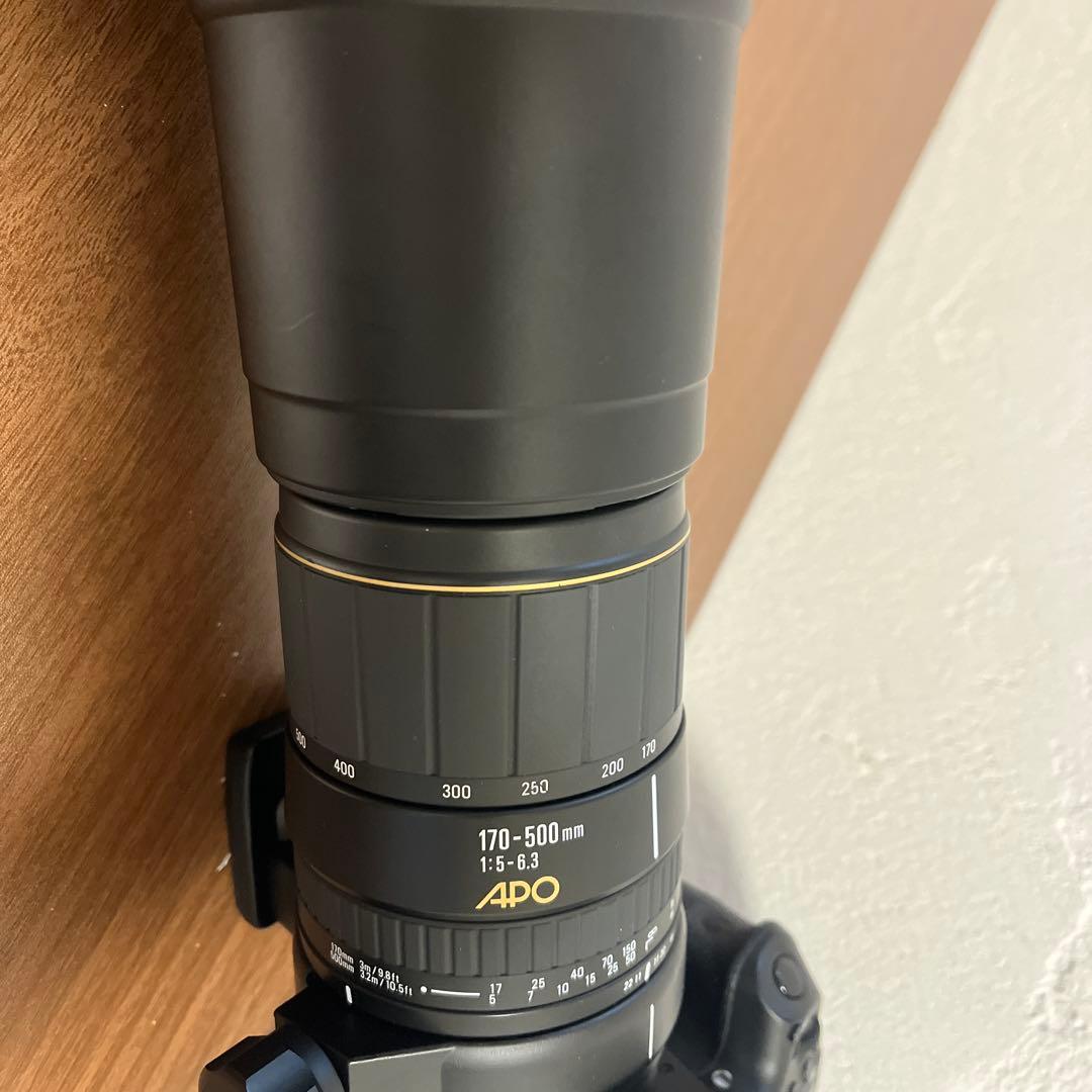 レンズ(ズーム) RT(EF170-500mm)