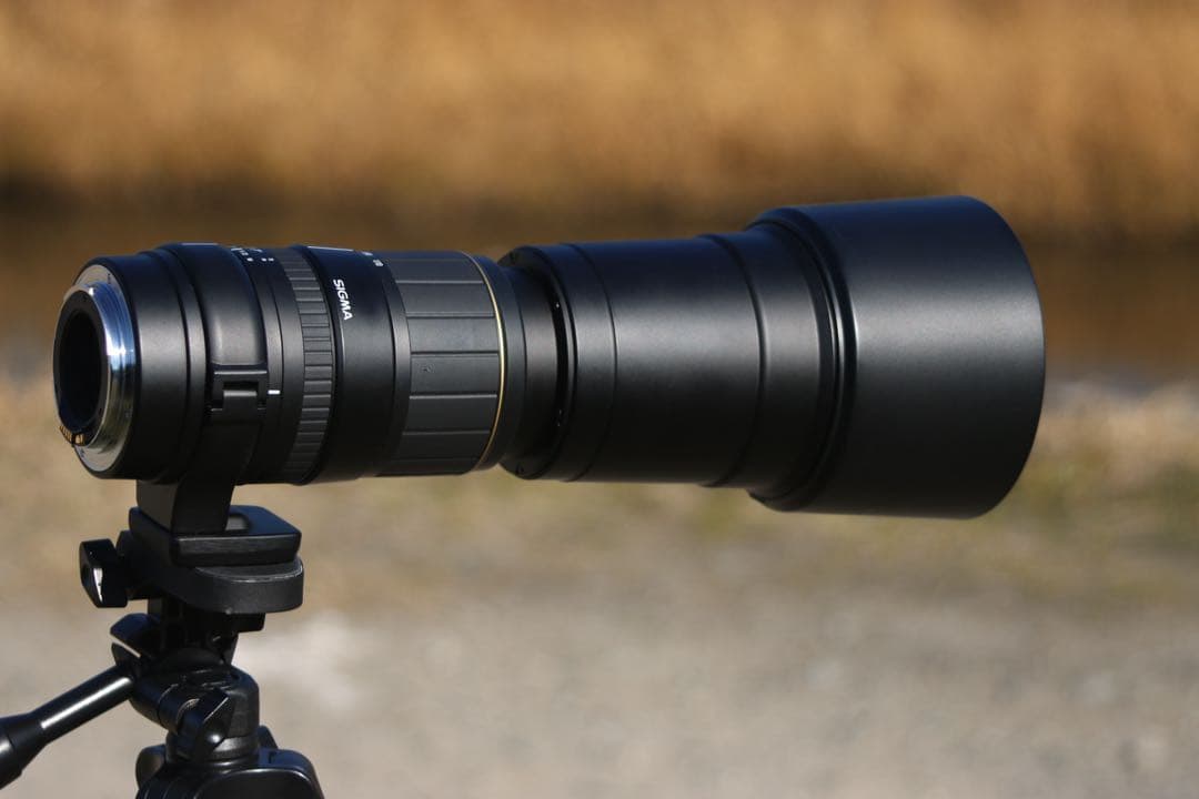 レンズ(ズーム) RT(EF170-500mm)