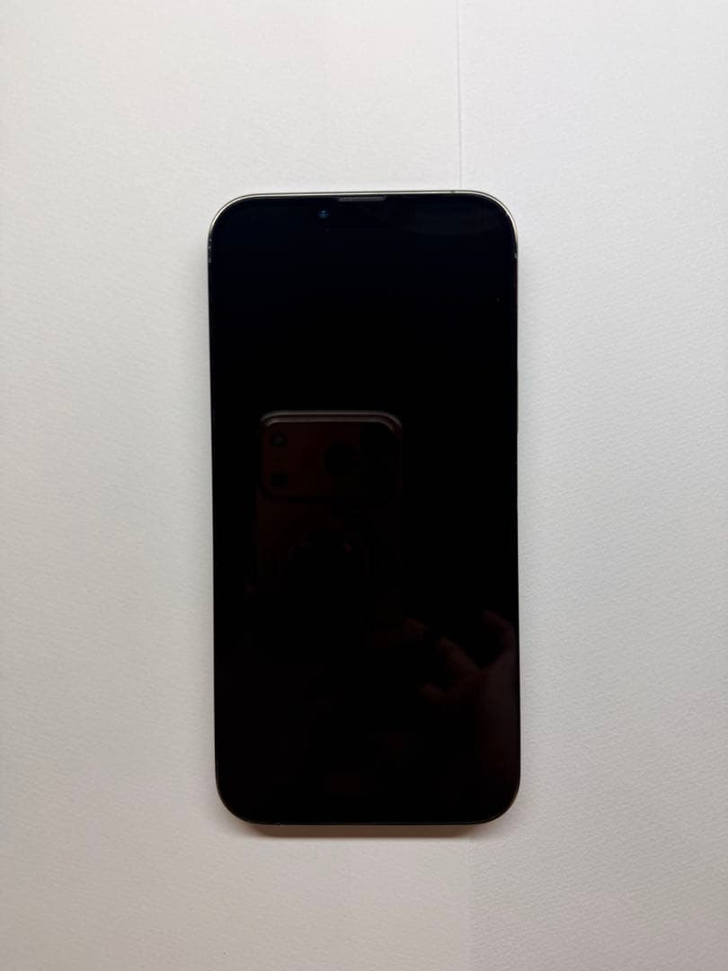 iPhone13 Pro Max 256GB SIMフリー 動作確認済み