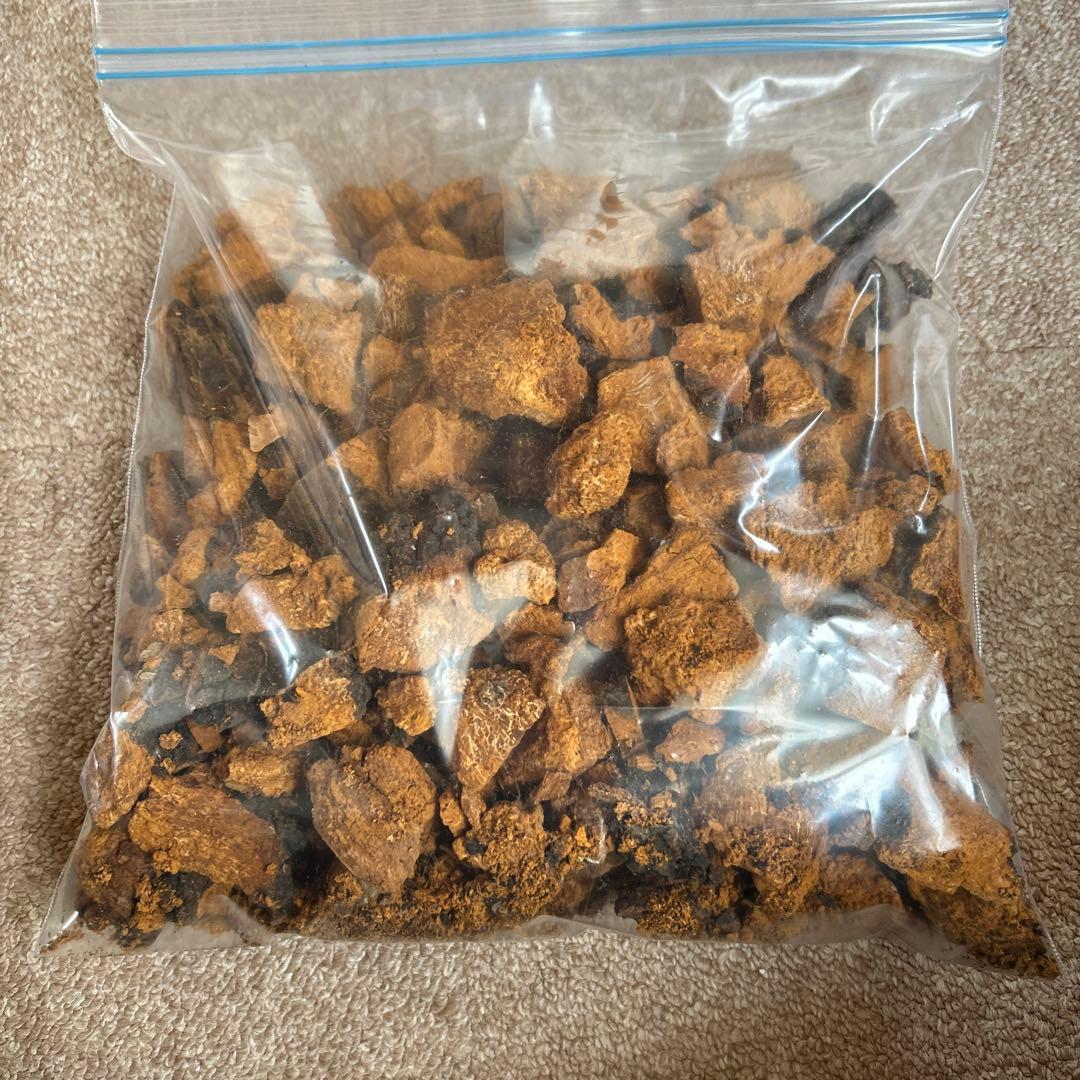 カバノアナタケ（乾燥）北海道・道東産　1.3kg