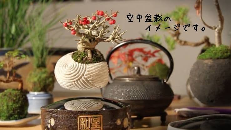 空中盆栽 air bonsai 空気の装飾 磁気浮上 磁力台座 空飛ぶ盆栽 浮く
