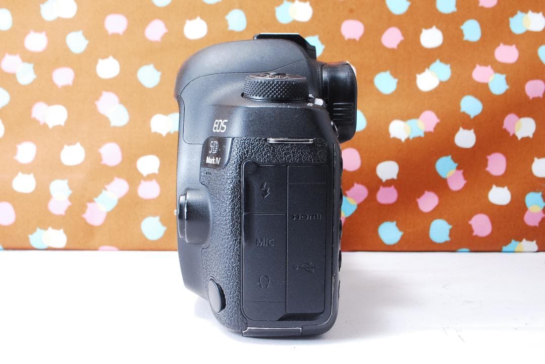 ✨ハイスペック機✨超高性能✨Canon 5D Mark Ⅳ