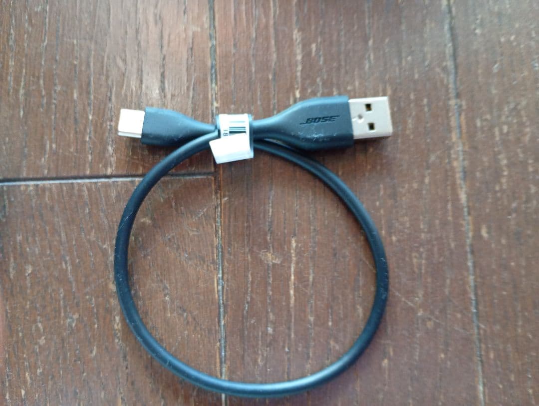 Bose QuietComfort Earbuds II 片耳(左)＋ケース付