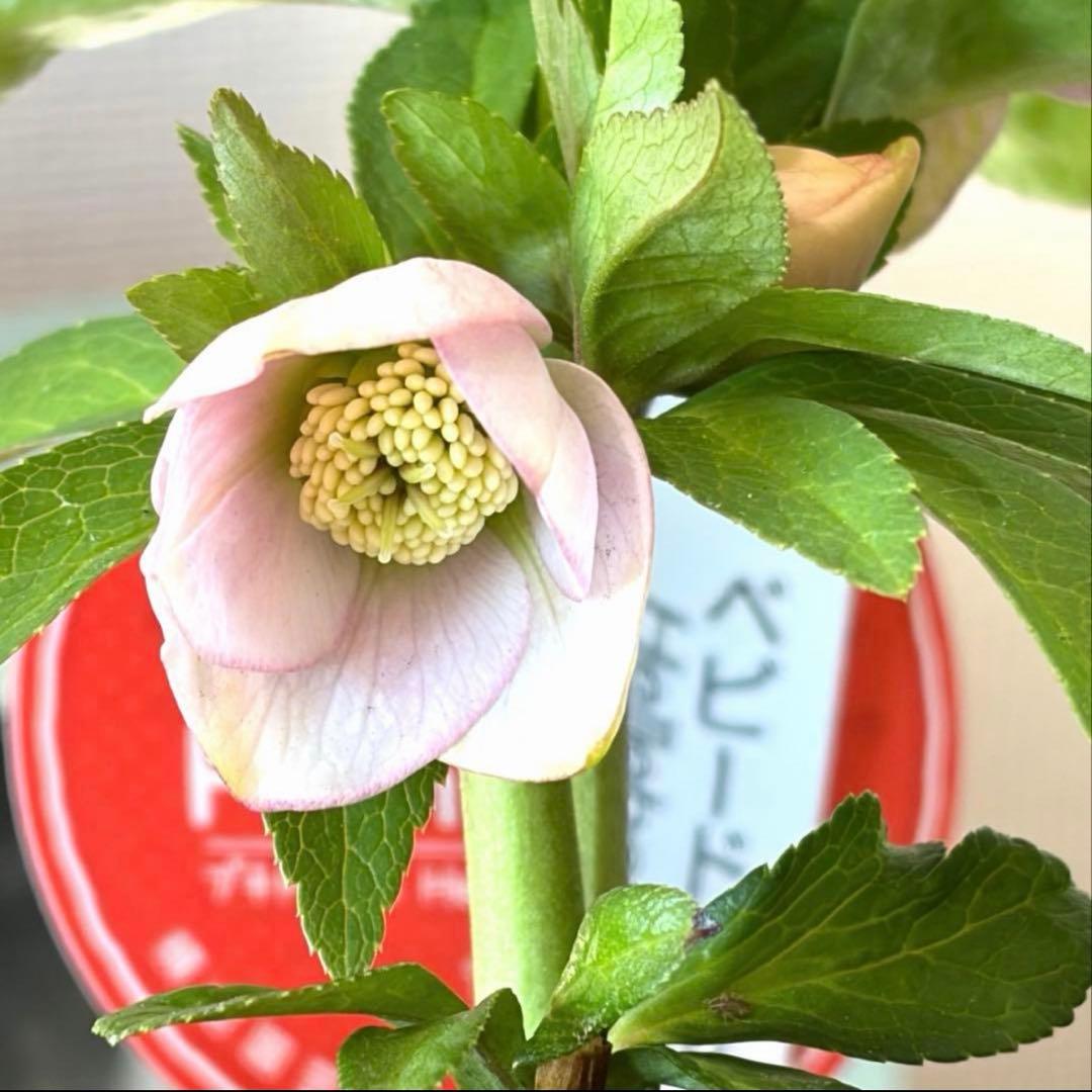 まい様　リクエスト　おまとめ3点