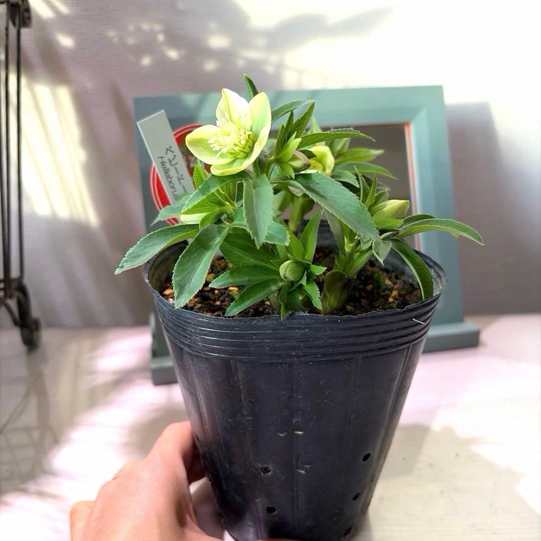 まい様　リクエスト　おまとめ3点