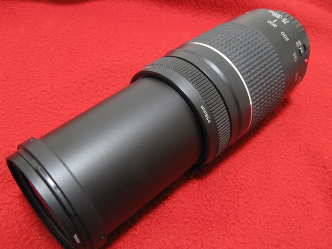 キャノン EFレンズ EF75-300mm F4-5.6 Ⅲ