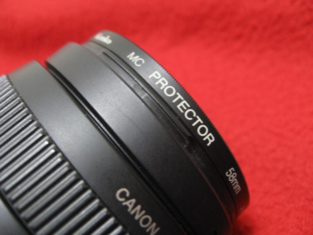 キャノン EFレンズ EF75-300mm F4-5.6 Ⅲ