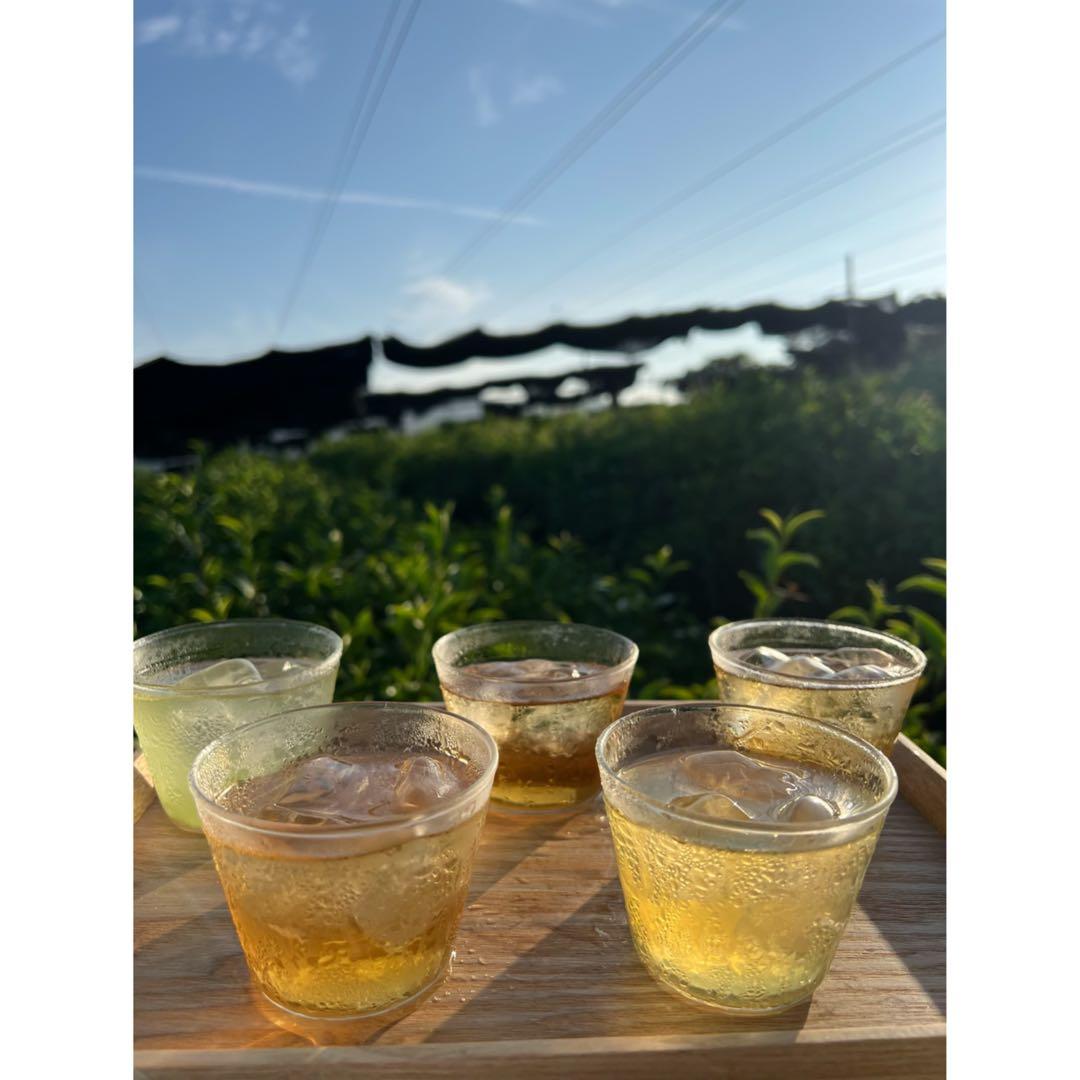 【8/8-8/11まで】夏のお茶5種類飲み比べセット(計40個入り)