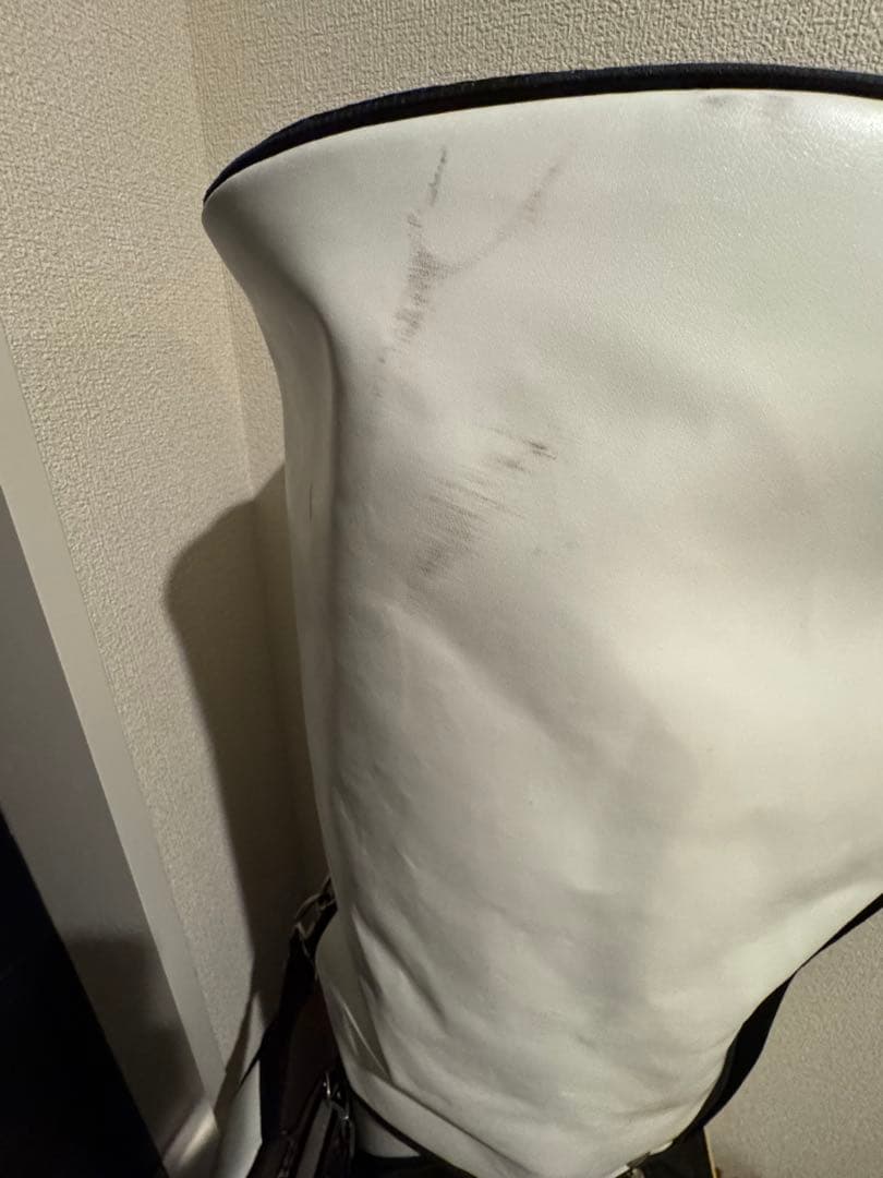 Callaway Warbird キャディバッグ